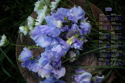 1237654 (a): :1920x1276